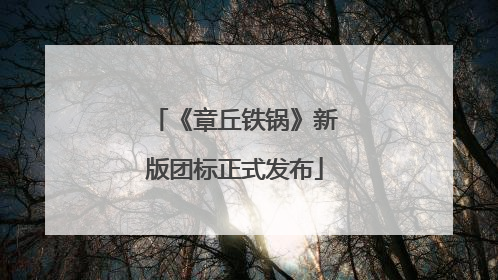 《章丘铁锅》新版团标正式发布