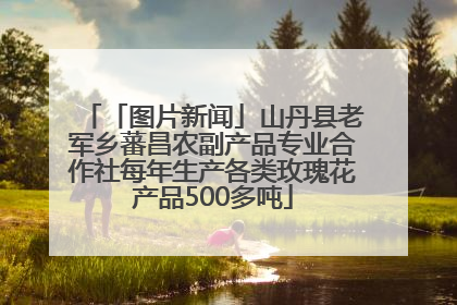「图片新闻」山丹县老军乡蕃昌农副产品专业合作社每年生产各类玫瑰花产品500多吨
