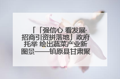 「强信心 看发展·招商引资拼落地」政府托举 绘出蔬菜产业新图景——镇原县甘肃聚广利现代设施蔬菜种植基地见闻