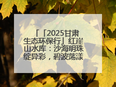 「2025甘肃生态环保行」红崖山水库：沙海明珠绽异彩，碧波荡漾润绿洲