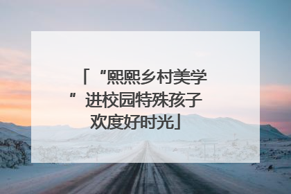 “熙熙乡村美学”进校园特殊孩子欢度好时光