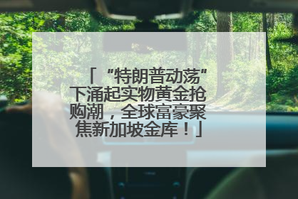 “特朗普动荡”下涌起实物黄金抢购潮，全球富豪聚焦新加坡金库！