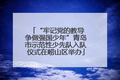 “牢记党的教导 争做强国少年”青岛市示范性少先队入队仪式在崂山区举办
