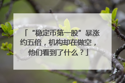 “稳定币第一股”暴涨约五倍，机构却在做空，他们看到了什么？