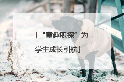 “童趣职探”为学生成长引航