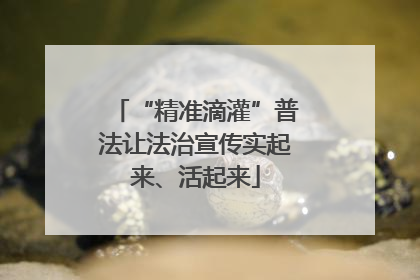 “精准滴灌”普法让法治宣传实起来、活起来