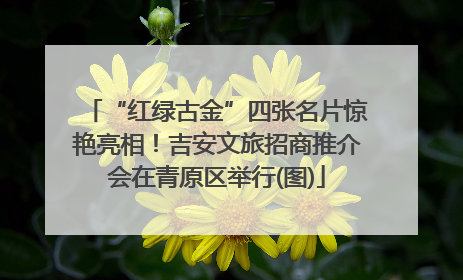 “红绿古金”四张名片惊艳亮相！吉安文旅招商推介会在青原区举行(图)