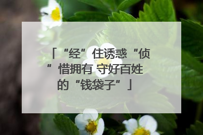 “经”住诱惑“侦”惜拥有 守好百姓的“钱袋子”