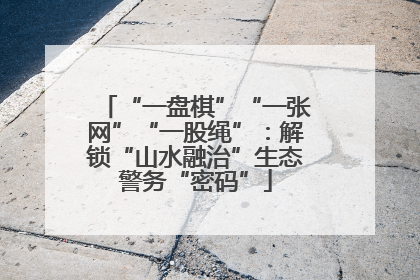 “一盘棋”“一张网”“一股绳”：解锁“山水融治”生态警务“密码”