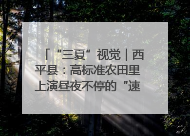 “三夏”视觉｜西平县：高标准农田里上演昼夜不停的“速度与激情”