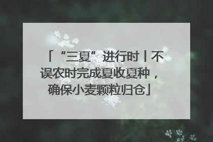 “三夏”进行时丨不误农时完成夏收夏种，确保小麦颗粒归仓
