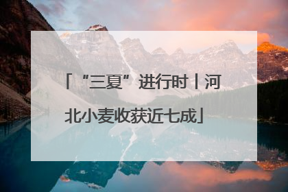 “三夏”进行时丨河北小麦收获近七成
