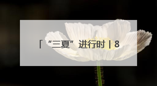 “三夏”进行时丨866.27公斤！河北小麦亩产创新高