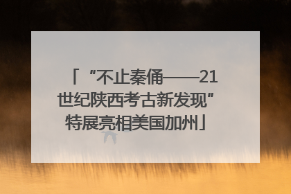 “不止秦俑——21世纪陕西考古新发现”特展亮相美国加州