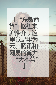 “东数西算”枢纽来沪推介，这里竟是华为云、腾讯和网易的算力“大本营”