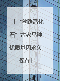“丝路活化石”古老马种优质基因永久保存