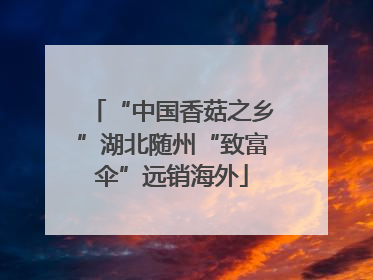 “中国香菇之乡”湖北随州“致富伞”远销海外