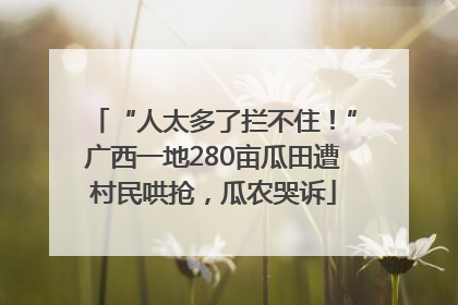 “人太多了拦不住！”广西一地280亩瓜田遭村民哄抢，瓜农哭诉