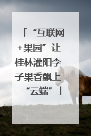“互联网+果园”让桂林灌阳李子果香飘上“云端”