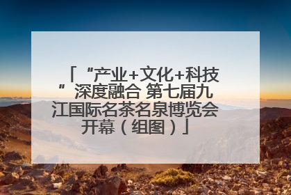 “产业+文化+科技”深度融合 第七届九江国际名茶名泉博览会开幕（组图）