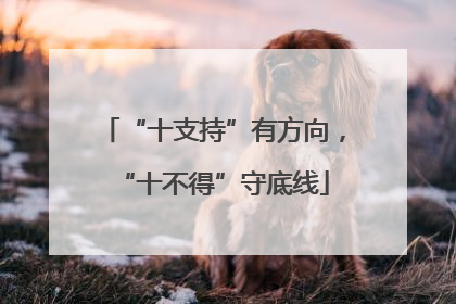 “十支持”有方向，“十不得”守底线
