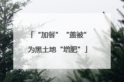 “加餐”“盖被” 为黑土地“增肥”
