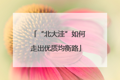 “北大洼”如何走出优质均衡路
