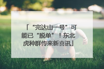 “完达山一号”可能已“脱单”！东北虎种群传来新喜讯