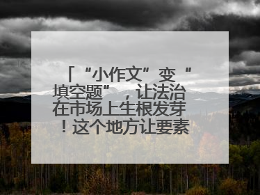 “小作文”变“填空题”，让法治在市场上生根发芽！这个地方让要素式文书入民心
