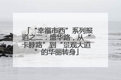 “幸福市西”系列报道之二：盛华路，从“卡脖路”到“景观大道”的华丽转身