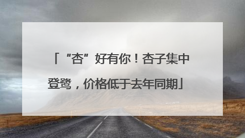 “杏”好有你！杏子集中登鹭，价格低于去年同期
