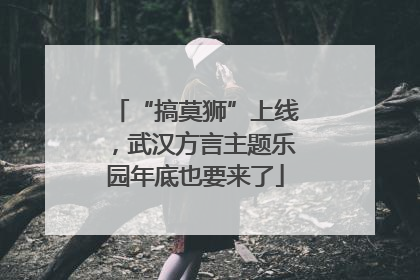 “搞莫狮”上线，武汉方言主题乐园年底也要来了