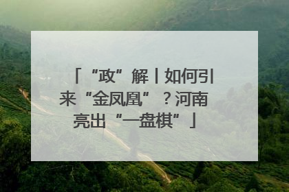 “政”解丨如何引来“金凤凰”？河南亮出“一盘棋”