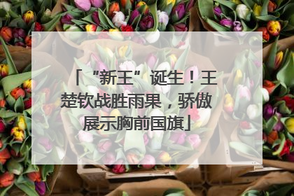 “新王”诞生！王楚钦战胜雨果，骄傲展示胸前国旗