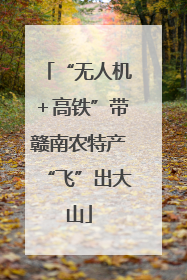 “无人机＋高铁”带赣南农特产“飞”出大山
