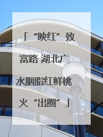 “映红”致富路 湖北广水胭脂红鲜桃火“出圈”