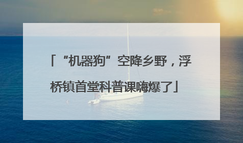 “机器狗”空降乡野，浮桥镇首堂科普课嗨爆了