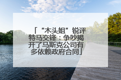 “木头姐”锐评特马交锋：争吵揭开了马斯克公司有多依赖政府合同