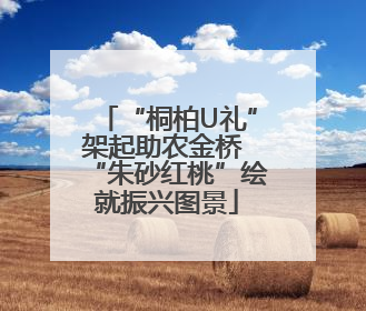 “桐柏U礼”架起助农金桥 “朱砂红桃”绘就振兴图景
