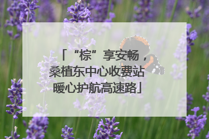 “棕”享安畅，桑植东中心收费站暖心护航高速路