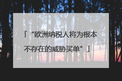 “欧洲纳税人将为根本不存在的威胁买单”