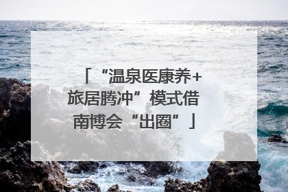 “温泉医康养+旅居腾冲”模式借南博会“出圈”