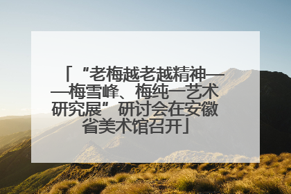 “老梅越老越精神——梅雪峰、梅纯一艺术研究展”研讨会在安徽省美术馆召开