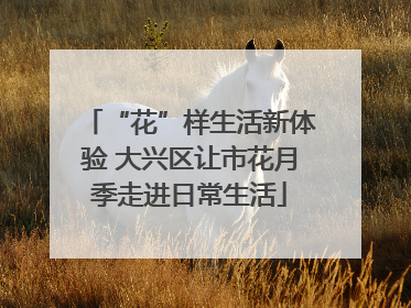 “花”样生活新体验 大兴区让市花月季走进日常生活