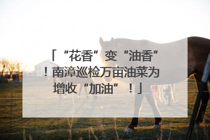 “花香”变“油香”！南漳巡检万亩油菜为增收“加油”！