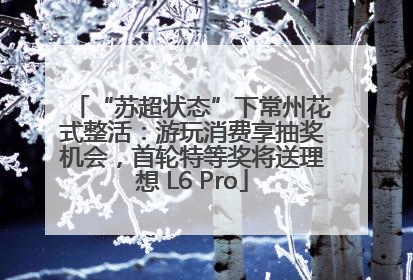 “苏超状态”下常州花式整活：游玩消费享抽奖机会，首轮特等奖将送理想 L6 Pro
