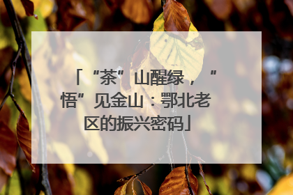 “茶”山醒绿，“悟”见金山：鄂北老区的振兴密码