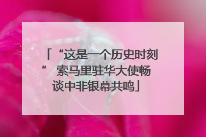 “这是一个历史时刻” 索马里驻华大使畅谈中非银幕共鸣
