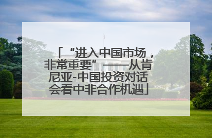 “进入中国市场，非常重要”——从肯尼亚-中国投资对话会看中非合作机遇