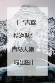“青鸾特巡队”青岛大鲍岛出圈